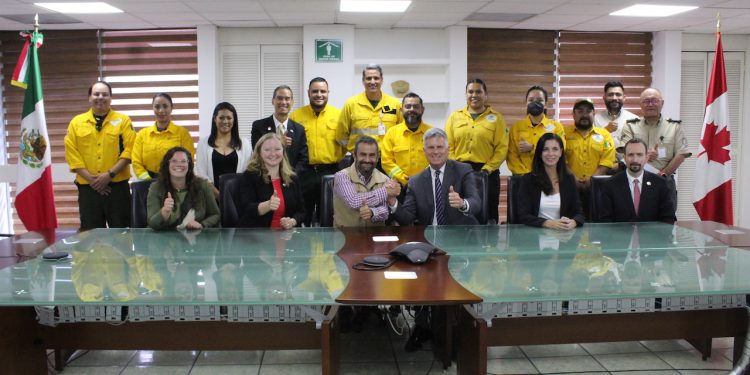 Canadá y México refuerzan bases de cooperación en materia forestal para el 2025