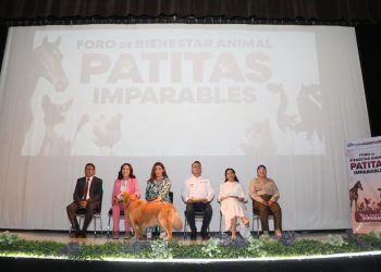 Por el bienestar animal el Ayuntamiento realizó el foro participativo «Patitas Imparables»