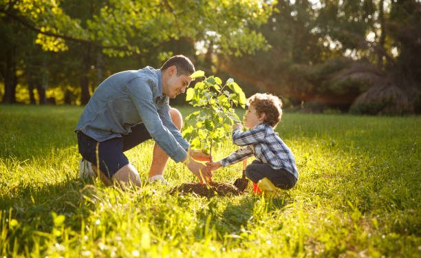 “Raíces del Futuro”: ambicioso plan de reforestación para rescatar las áreas verdes de la ciudad