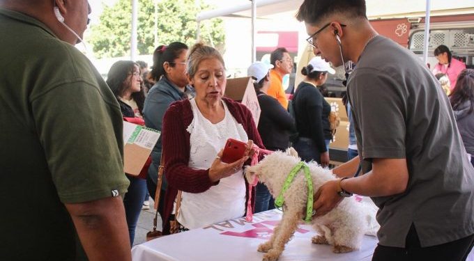 Hoy en Tonatico, EdoMex Caravana por el Bienestar Animal