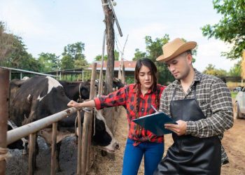 México prepara a productores ante nueva regulación de la UE en materia de agricultura y ganadería sustentable