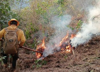 Puebla reduce al 50% daños por incendios forestales