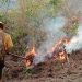 Puebla reduce al 50% daños por incendios forestales