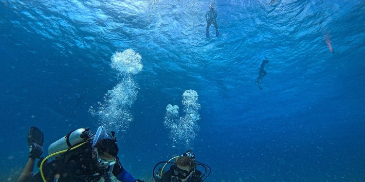 Conanp capacita a brigadistas de arrecifes de coral de Banco Chinchorro y Arrecifes de Xcalak