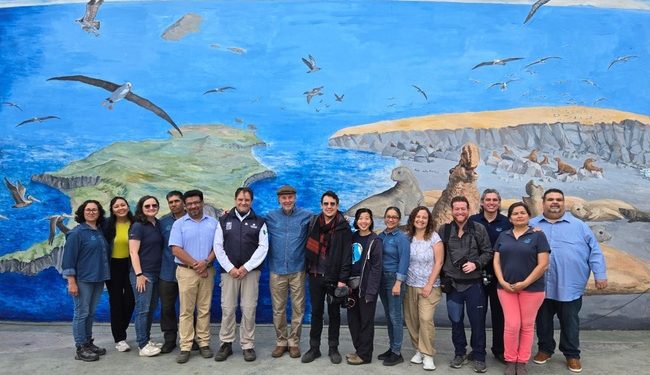 Conanp y GECI refrendan sus lazos de colaboración a favor de la conservación y restauración de las islas de México