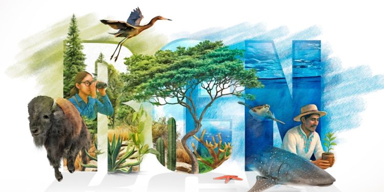 Participa en el “Reconocimiento a la Conservación de la Naturaleza 2025”