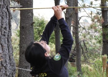 Monitoreo ecosistémico para evaluar la efectividad de las Áreas Naturales Protegidas
