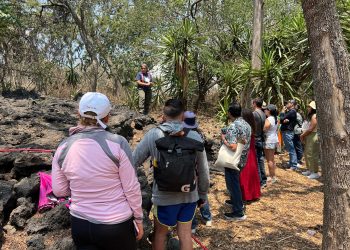 Más de mil seiscientas especies de plantas, algunas en peligro de extinción al cuidado de la UNAM