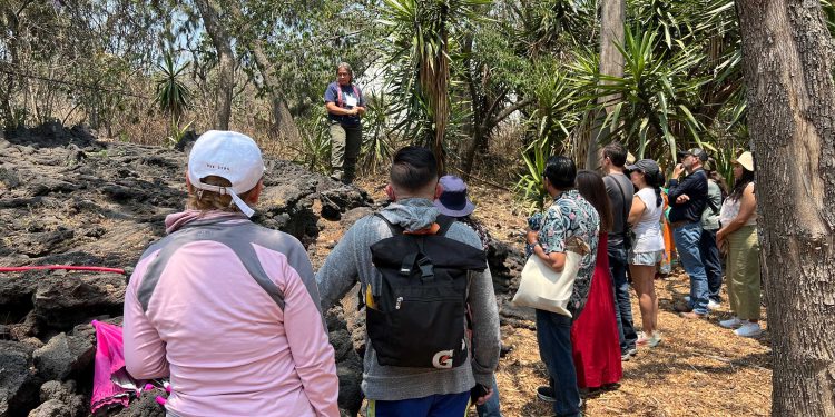 Más de mil seiscientas especies de plantas, algunas en peligro de extinción al cuidado de la UNAM