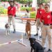 Atendió EdoMex a 500 lomitos y michis en Tonatico a través de la Caravana por el Bienestar Animal