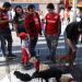 77 perritos rescatados se dieron en adopción ayer durante la final Toluca-América