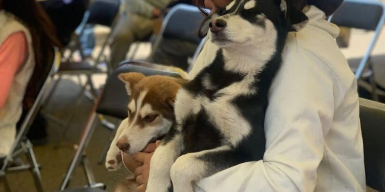 Jornada de bienestar animal en la Colonia Miravalle