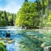 Red Natura 2000 se celebra hoy en Europa