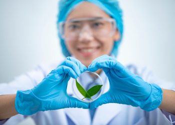 Mayo 12, Día Internacional de la Sanidad Vegetal