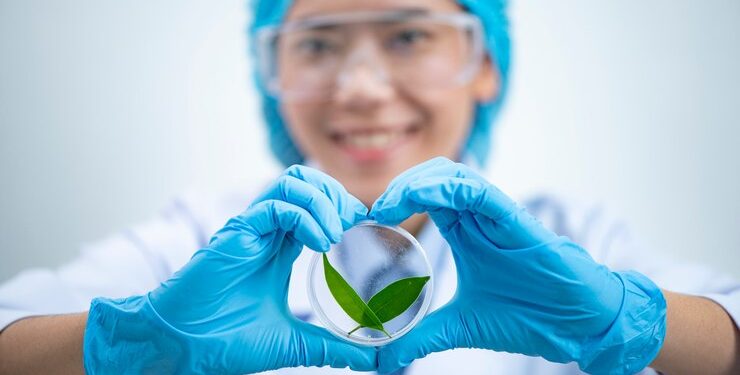 Mayo 12, Día Internacional de la Sanidad Vegetal