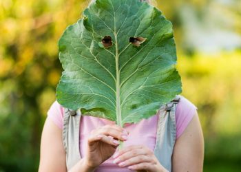 Mayo 12, Día Internacional de la Sanidad Vegetal