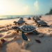 Día Mundial de la Tortuga