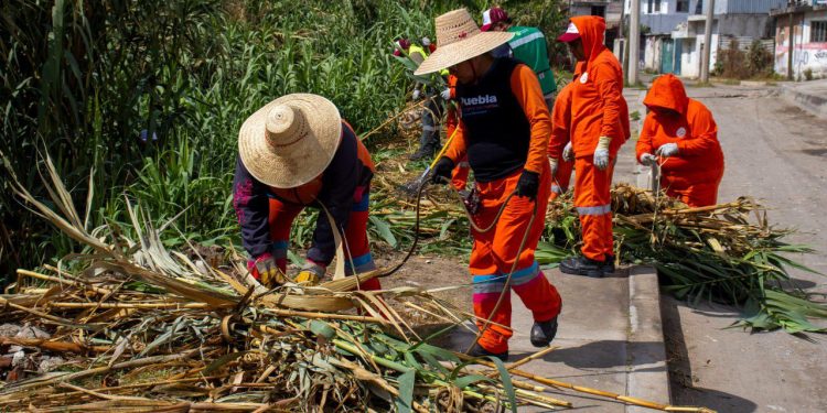 Refuerza Gobierno de la Ciudad acciones de prevención ante la temporada de lluvias