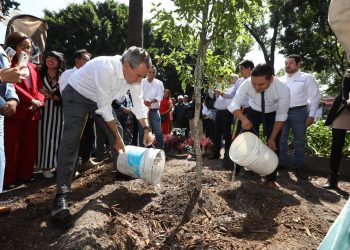 Anuncia Gobierno de la Ciudad programa “Raíces del Futuro” para reforestar y reverdecer el municipio