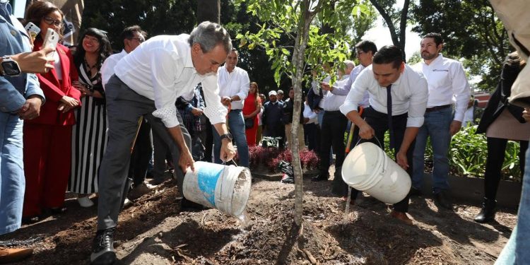 Anuncia Gobierno de la Ciudad programa “Raíces del Futuro” para reforestar y reverdecer el municipio
