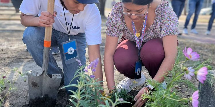 La BUAP representará a México en el Premio UNESCO-Japón de Educación para el Desarrollo Sostenible