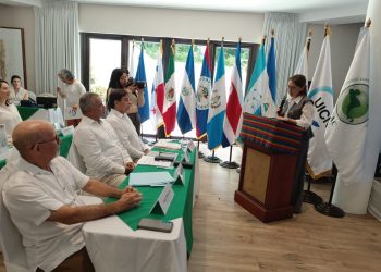 México y Centroamérica se unen para conservar los biomas forestales críticos