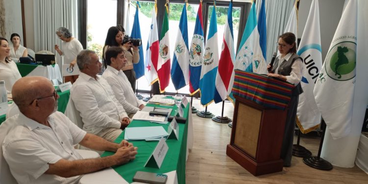 México y Centroamérica se unen para conservar los biomas forestales críticos