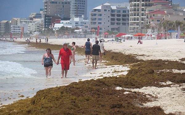 Alcanza sargazo condición sin precedentes: Durand Smith