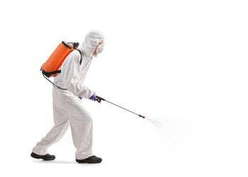 Día Mundial de la concientización y la importancia del control de plagas