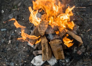 Día Mundial contra la Incineración