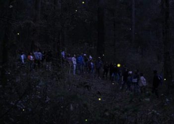 En Tlaxcala, resguardan la magia de las luciérnagas 23 centros de avistamiento autorizados