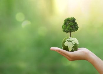 Día Mundial del Medio Ambiente