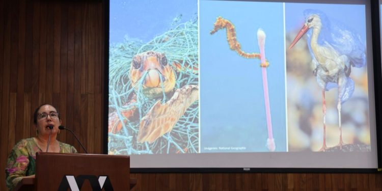 Repensando el plástico: educación y acción para un futuro sostenible