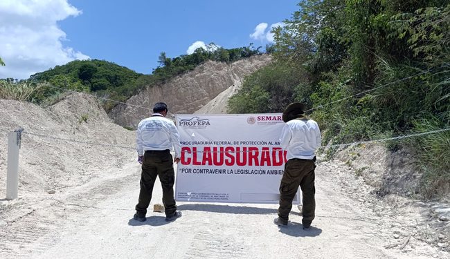 Profepa clausura 3 predios por extracción de material pétreo y remoción de vegetación en Chiapas