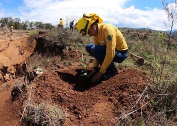 Conmemora Probosque 35 años: reafirma su compromiso de protección y conservación de ecosistemas forestales del EdoMex