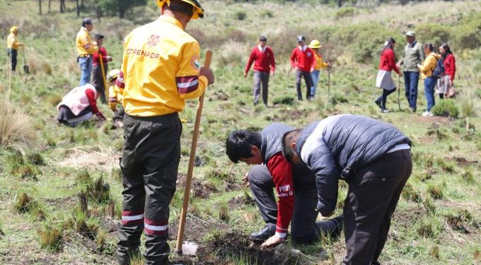 Reforestación en EdoMex, autoridades plantarán más de 450 mil árboles en 24 municipios con zonas boscosas