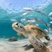Día Mundial de las Tortugas Marinas
