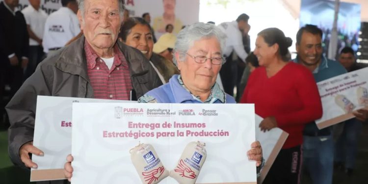 Seguridad para familias, con insumos para el campo y obra comunitaria en Tecamachalco