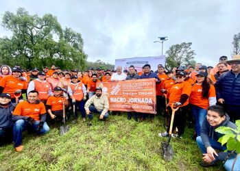 Refuerza Gobierno de la Ciudad acciones ambientales con dos jornadas de plantación de árboles en esta semana