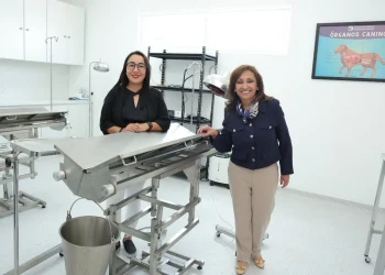 Primera clínica de bienestar animal en Tlaxcala; ofrecerá servicios de veterinaria integral