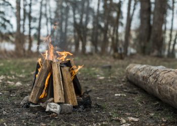 México y Canadá promueven el diálogo entre representantes indígenas sobre el manejo cultural del fuego