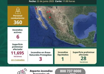 Reporta Conafor seis incendios forestales activos durante el fin de semana