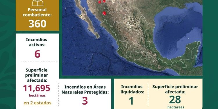 Reporta Conafor seis incendios forestales activos durante el fin de semana