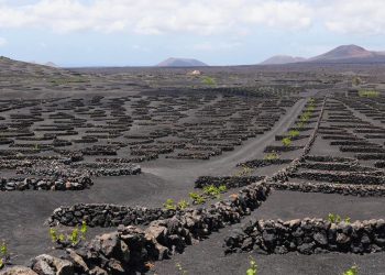 Tres sitios de Brasil, España y México inscritos en la lista de Patrimonio Agrícola de Importancia Mundial