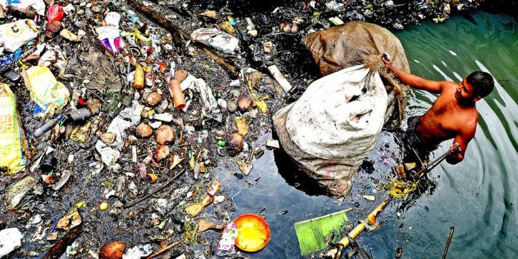 Cada persona consume más de 50.000 partículas de plástico al año