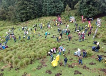 Restaurar no es solo reforestar: EdoMex impulsa recuperación integral de ecosistemas