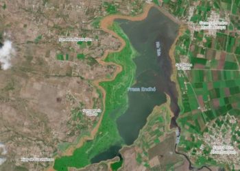 Avance del 50% en el retiro de lirio acuático en la presa Endhó: Semarnat