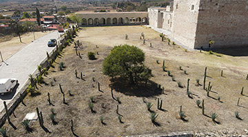 En Oaxaca, impulsa la UNAM construcción de Jardín Geobotánico en Geoparque