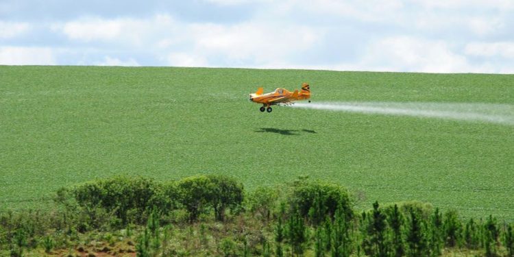 Efectos tóxicos en el cerebro de animales, por plaguicidas en la agricultura