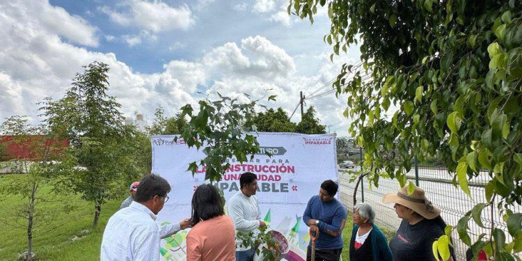 Gobierno de la Ciudad impulsa una Ciudad más verde